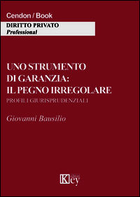 9788869592300 - Uno strumento di garanzia. Il pegno irregolare. Profili giurisprudenziali
