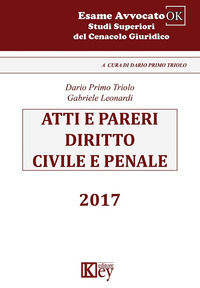 9788869599293 - Atti e pareri di diritto civile e penale