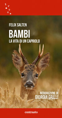 Foto non disponibile