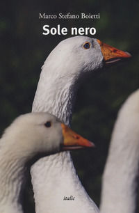 Foto non disponibile