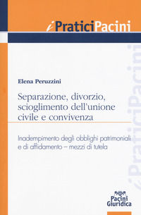 9788869953699 - Separazione, divorzio, scioglimento dell'unione civile, e convivenza. Inadempimento degli obblighi patrimoniali e di aff