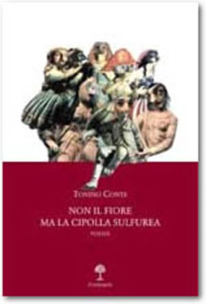 Foto non disponibile