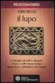 9788871362809 - Il lupo. Ediz. illustrata