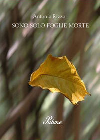 9788871630311 - Sono solo foglie morte