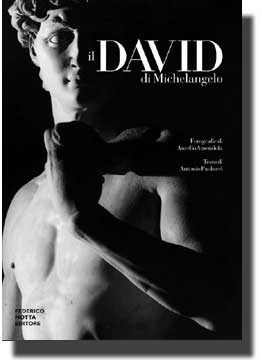 9788871793016 - Il David di Michelangelo
