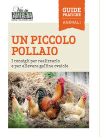9788872203767 - Un piccolo pollaio. I consigli per realizzarlo e per allevare galline ovaiole