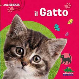 9788873075790 - Il gatto
