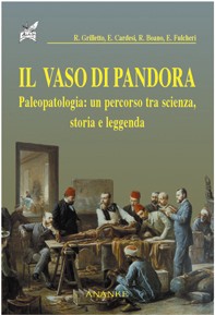 Foto non disponibile