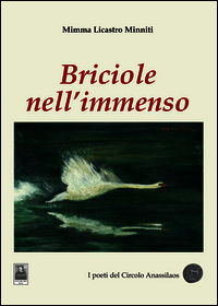 9788873518723 - Briciole nell'immenso