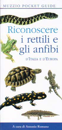 9788874130672 - Riconoscere i rettili e gli anfibi d'Italia e d'Europa