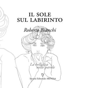 9788874260546 - Il sole sul labirinto
