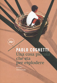 Foto non disponibile