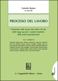 9788875242664 - Processo del lavoro. Commento sulle norme del codice di rito, delle leggi speciali e analisi tematiche delle tutele giur