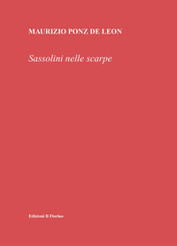 9788875498061 - Sassolini nelle scarpe