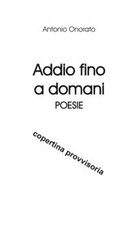 9788875575755 - Addio fino a domani
