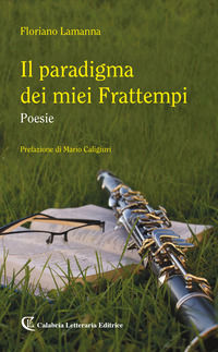 9788875743857 - Il paradigma dei miei frattempi