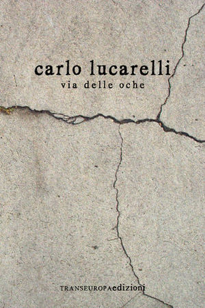 9788875801311 - Via delle Oche