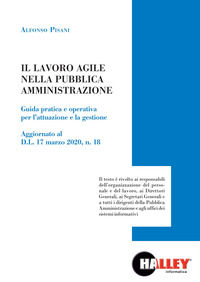 9788875895198 - Il lavoro agile nella pubblica amministrazione
