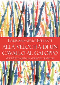 9788876068591 - Alla velocità di un cavallo al galoppo. Ediz. italiana e francese