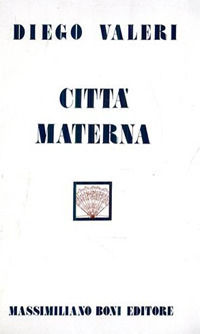 9788876223273 - Città materna