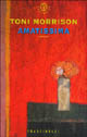 9788876843952 - Amatissima