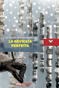 9788877284938 - La nevicata perfetta