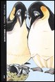 9788878470637 - Il pinguino senza frac