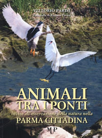 9788878475700 - Animali tra i ponti. Invito all'osservazione della natura nella Parma cittadina