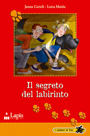 9788878741164 - Il segreto del labirinto