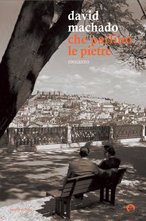9788879071079 - Che parlino le pietre