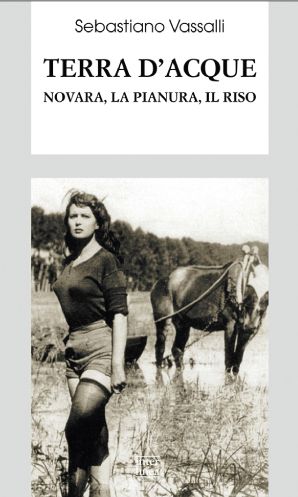 Foto non disponibile