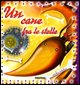 9788882221553 - Un cane fra le stelle. Ediz. illustrata