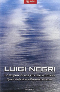 9788882723699 - Lo stupore di una vita che si rinnova. Spunti di riflessione sull'esperienza cristiana