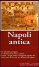 9788882895877 - Napoli antica. Una splendida passeggiata tra i monumenti, le chiese, i palazzi, le strade, i luoghi perduti e le leggend