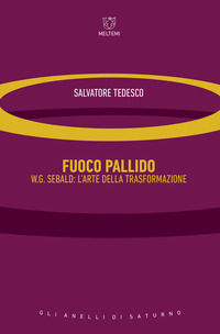 9788883539688 - Fuoco pallido. W.G. Sebald: l'arte della trasformazione