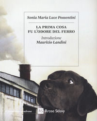 Foto non disponibile