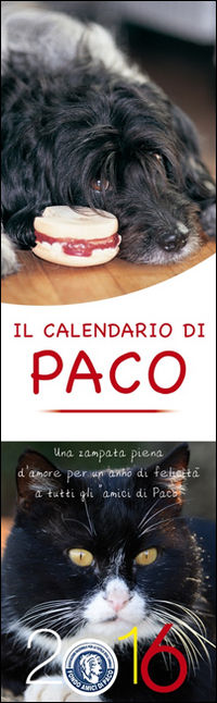 Foto non disponibile