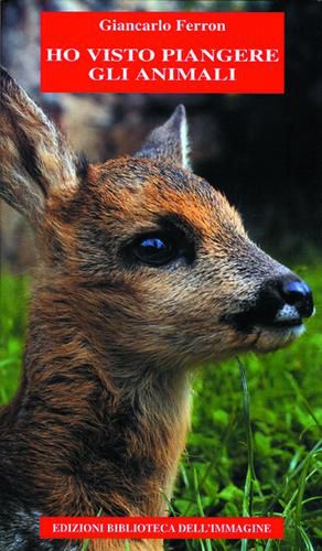 9788887881172 - Ho visto piangere gli animali