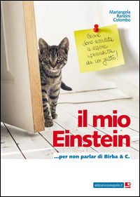 Foto non disponibile