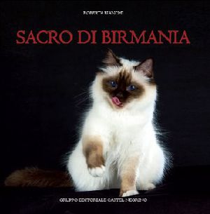Foto non disponibile