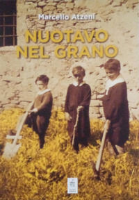 Foto non disponibile