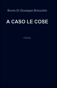 9788891003003 - A caso le cose