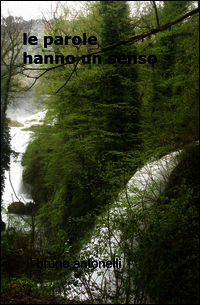 9788891011718 - Le parole hanno un senso