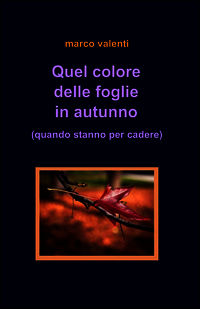 Foto non disponibile