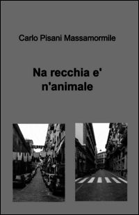 Foto non disponibile