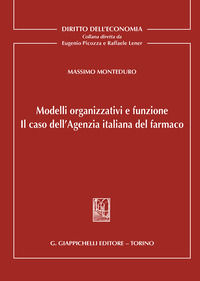 9788892115293 - Modelli organizzativi e funzione. Il caso dell'Agenzia italiana del farmaco