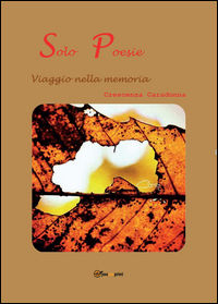 Foto non disponibile