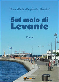 Foto non disponibile