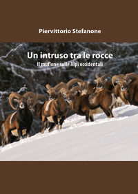 9788893212410 - Un intruso tra le rocce