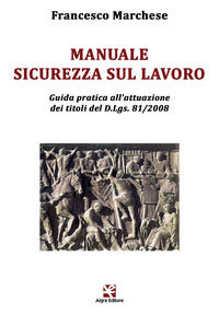 9788893412674 - Manuale sicurezza sul lavoro. Guida pratica all'attuazione dei titoli del D.Lgs. 81/2008